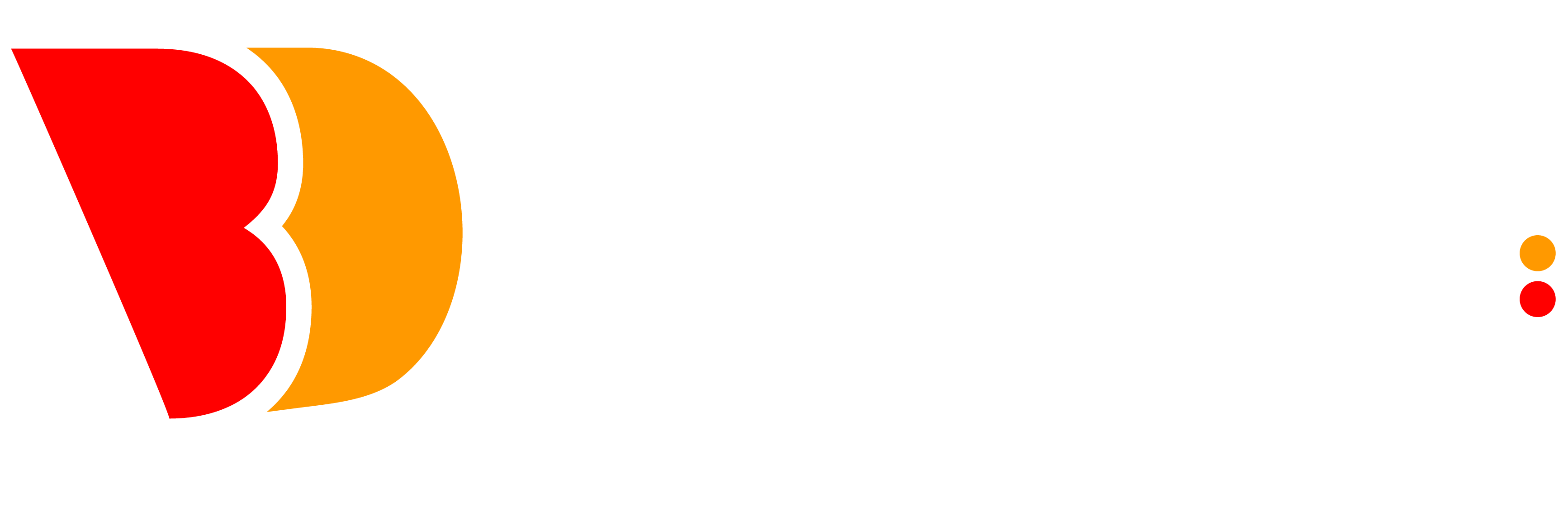 Binate Technologies IT Agency
